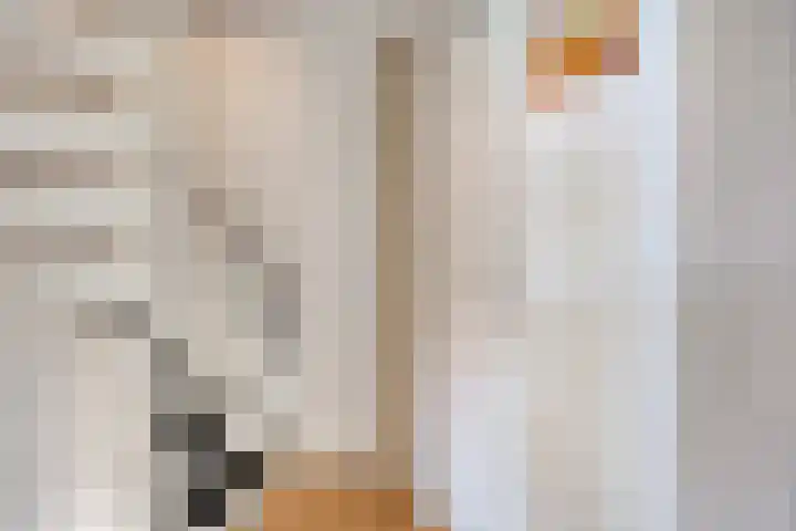 Zevenbergenstraat 5 Eindhoven thumbnail 11