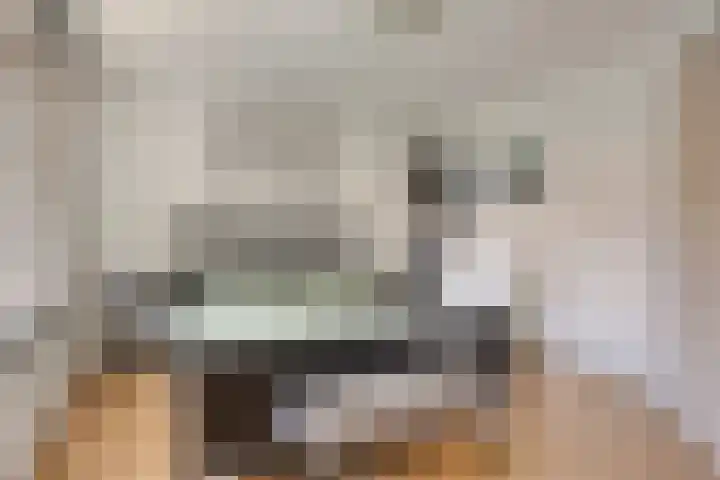 Zevenbergenstraat 5 Eindhoven thumbnail 12