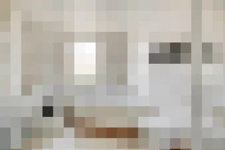 Zevenbergenstraat 5 Eindhoven thumbnail 14