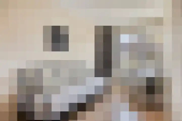 Zevenbergenstraat 5 Eindhoven thumbnail 17