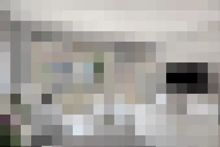 Zevenbergenstraat 5 Eindhoven thumbnail 4