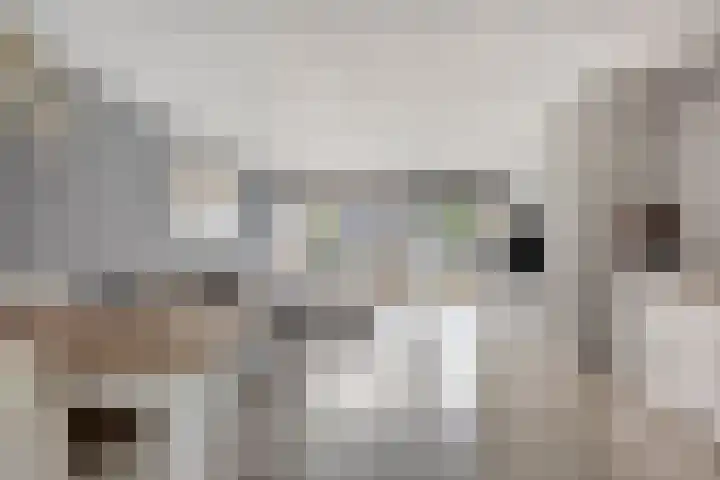 Zevenbergenstraat 5 Eindhoven thumbnail 7