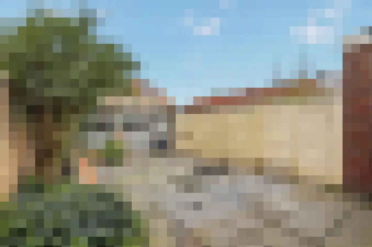 Zevenbergenstraat 6 Eindhoven thumbnail 25