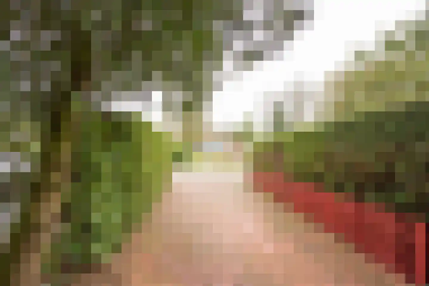 Zevenbergjesweg 1 02 Voorthuizen thumbnail 21