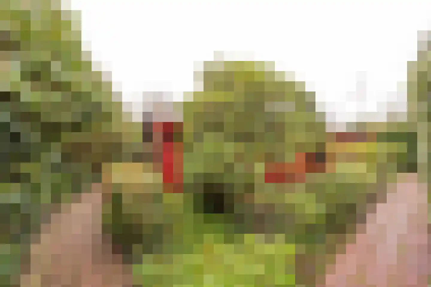Zevenbergjesweg 1 02 Voorthuizen thumbnail 4