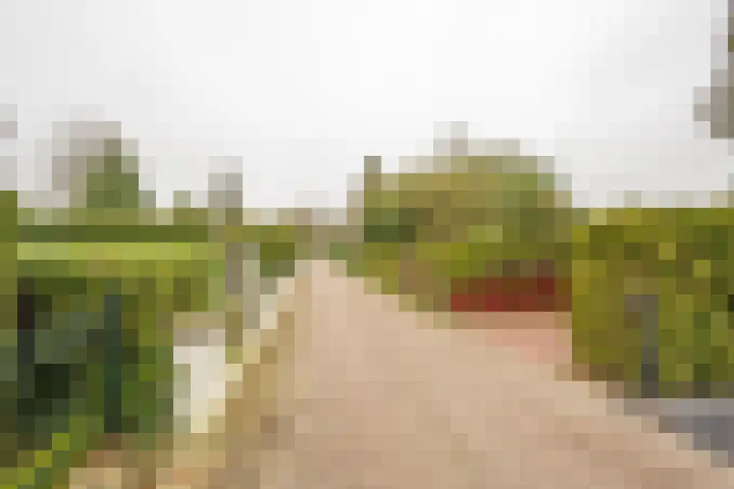 Zevenbergjesweg 1 02 Voorthuizen thumbnail 5