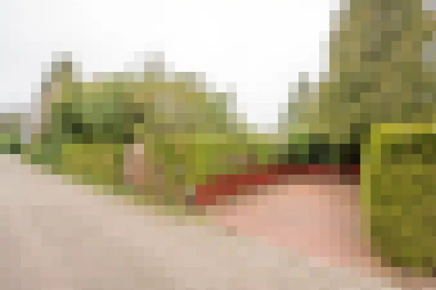 Zevenbergjesweg 1 02 Voorthuizen thumbnail 6