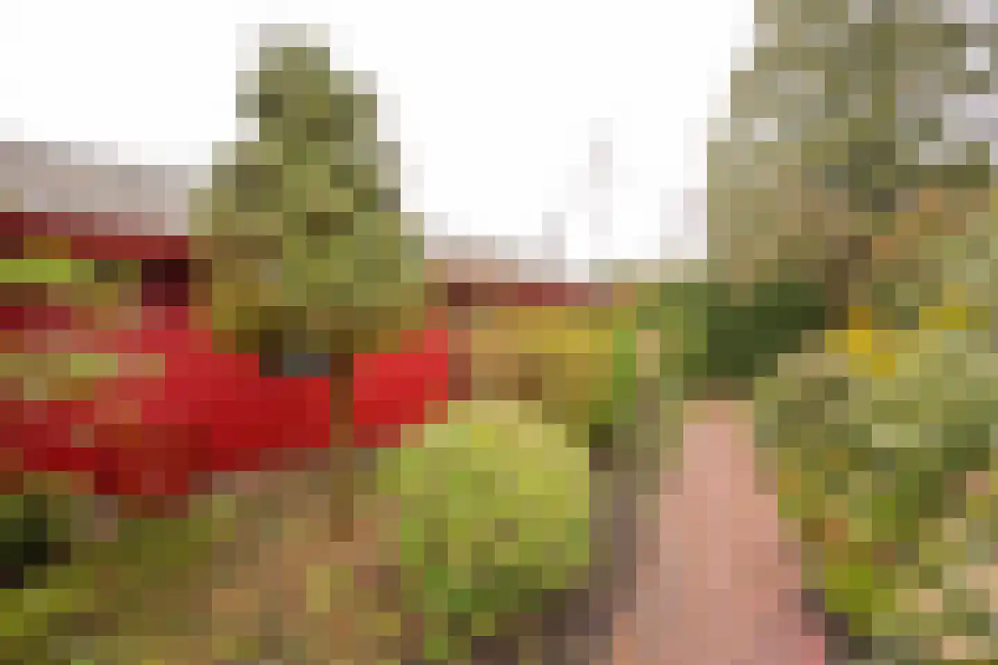 Zevenbergjesweg 1 02 Voorthuizen thumbnail 7