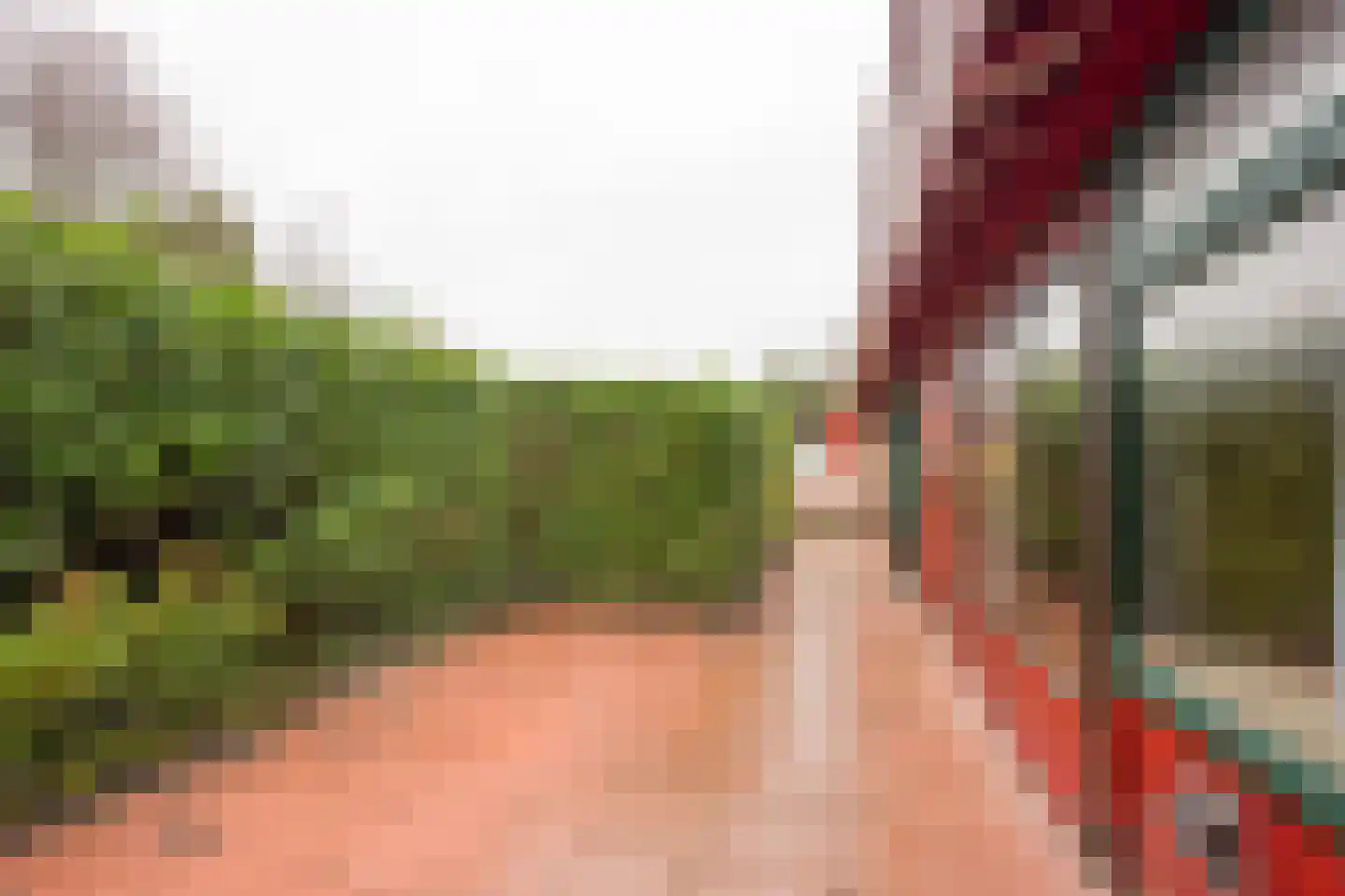 Zevenbergjesweg 1 02 Voorthuizen thumbnail 9