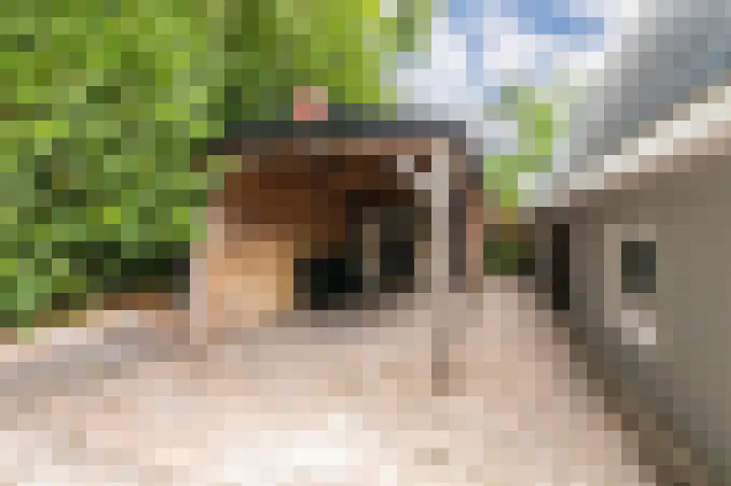 Zevenbergjesweg 1 06 Voorthuizen thumbnail 5