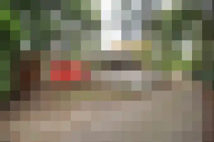 Zevenbergjesweg 1 11 Voorthuizen thumbnail 67