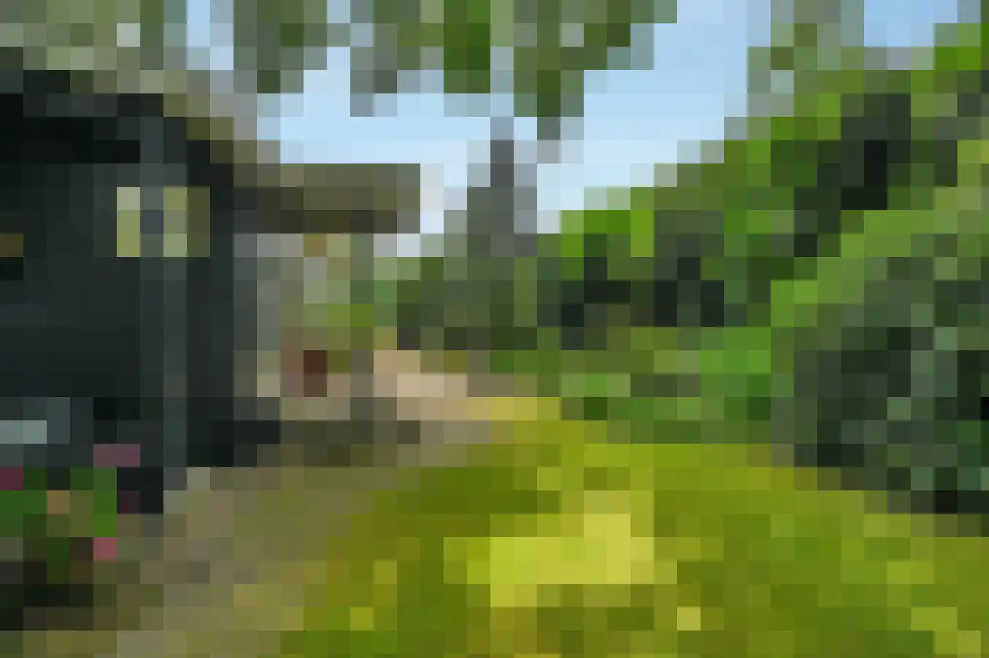 Zevenbergjesweg 1 30 Voorthuizen thumbnail 19