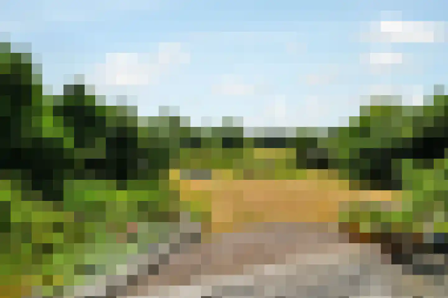 Zevenbergjesweg 1 30 Voorthuizen thumbnail 22