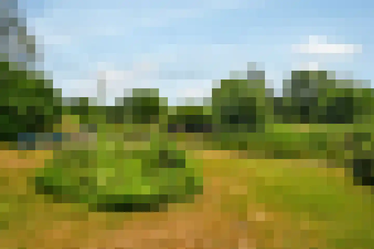 Zevenbergjesweg 1 30 Voorthuizen thumbnail 25