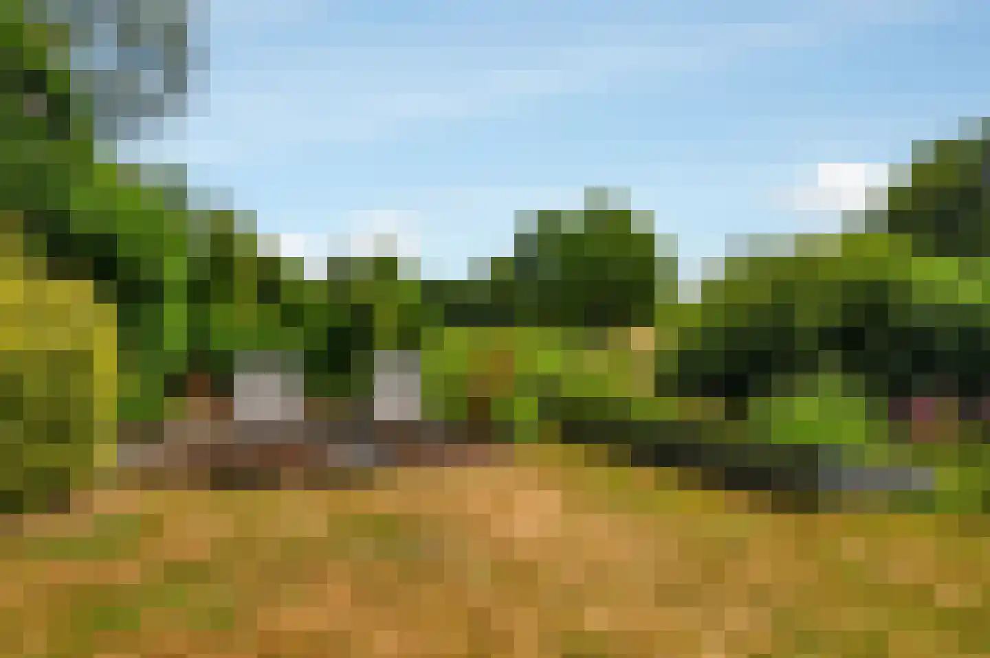 Zevenbergjesweg 1 30 Voorthuizen thumbnail 27