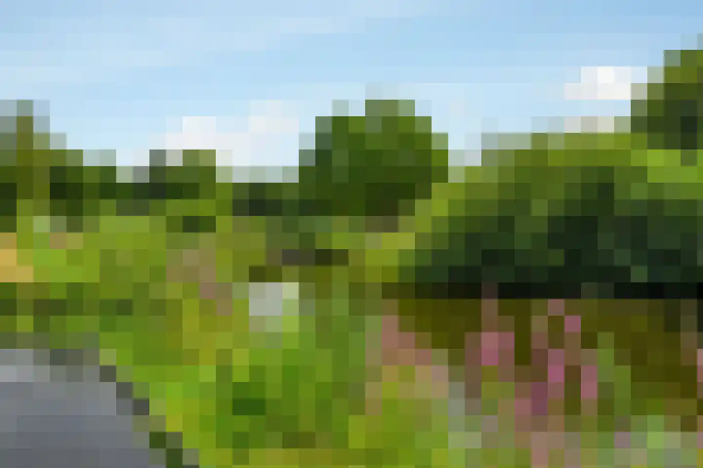 Zevenbergjesweg 1 30 Voorthuizen thumbnail 28