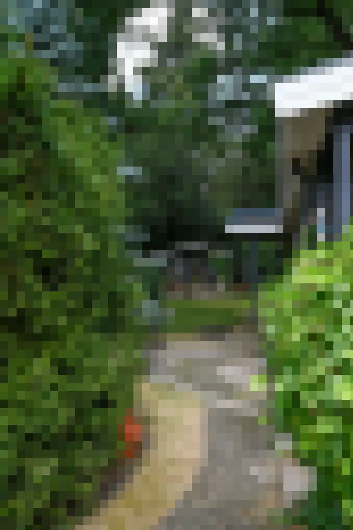 Zevenbergjesweg 1 30 Voorthuizen thumbnail 30