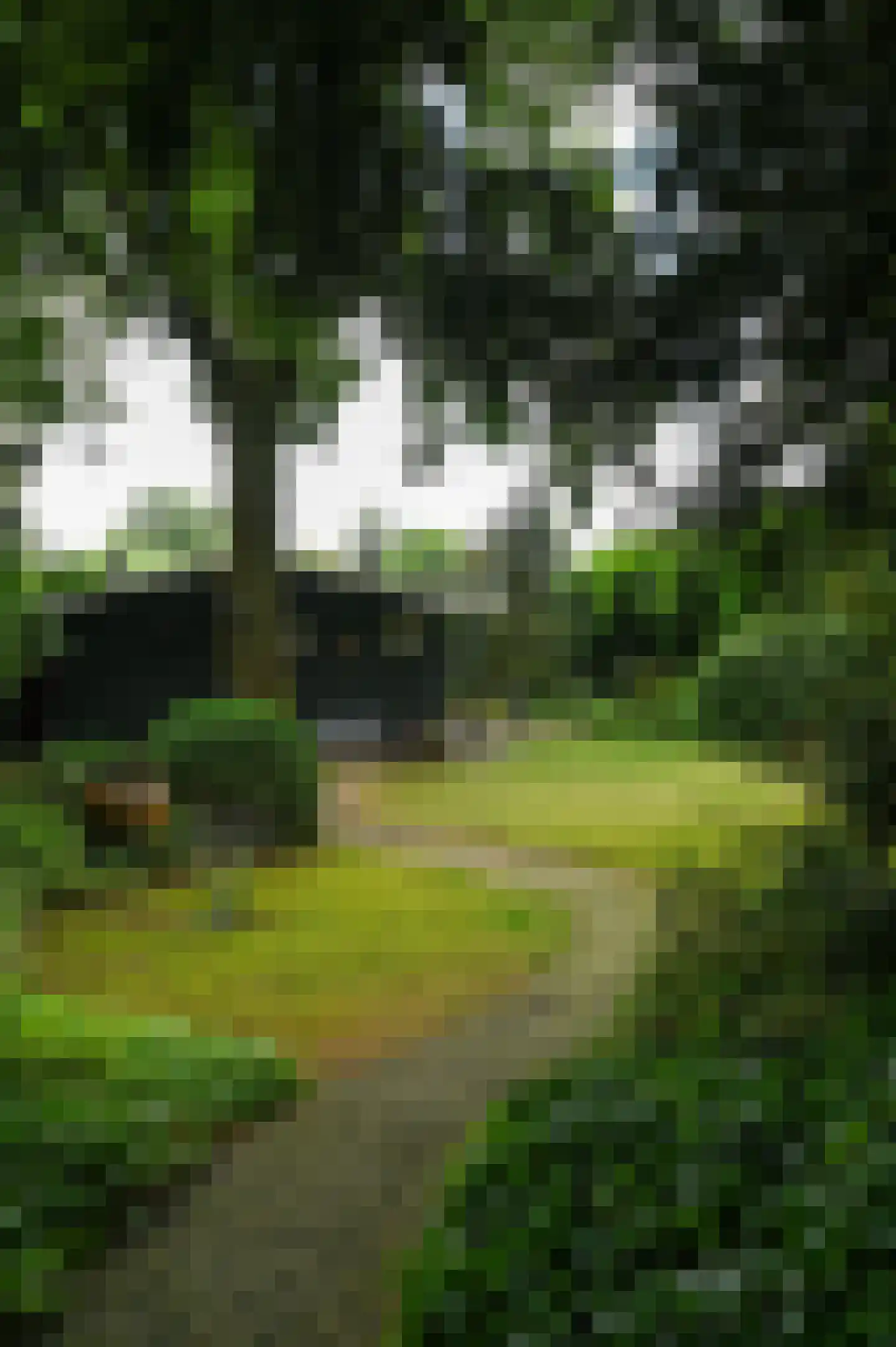 Zevenbergjesweg 1 30 Voorthuizen thumbnail 31