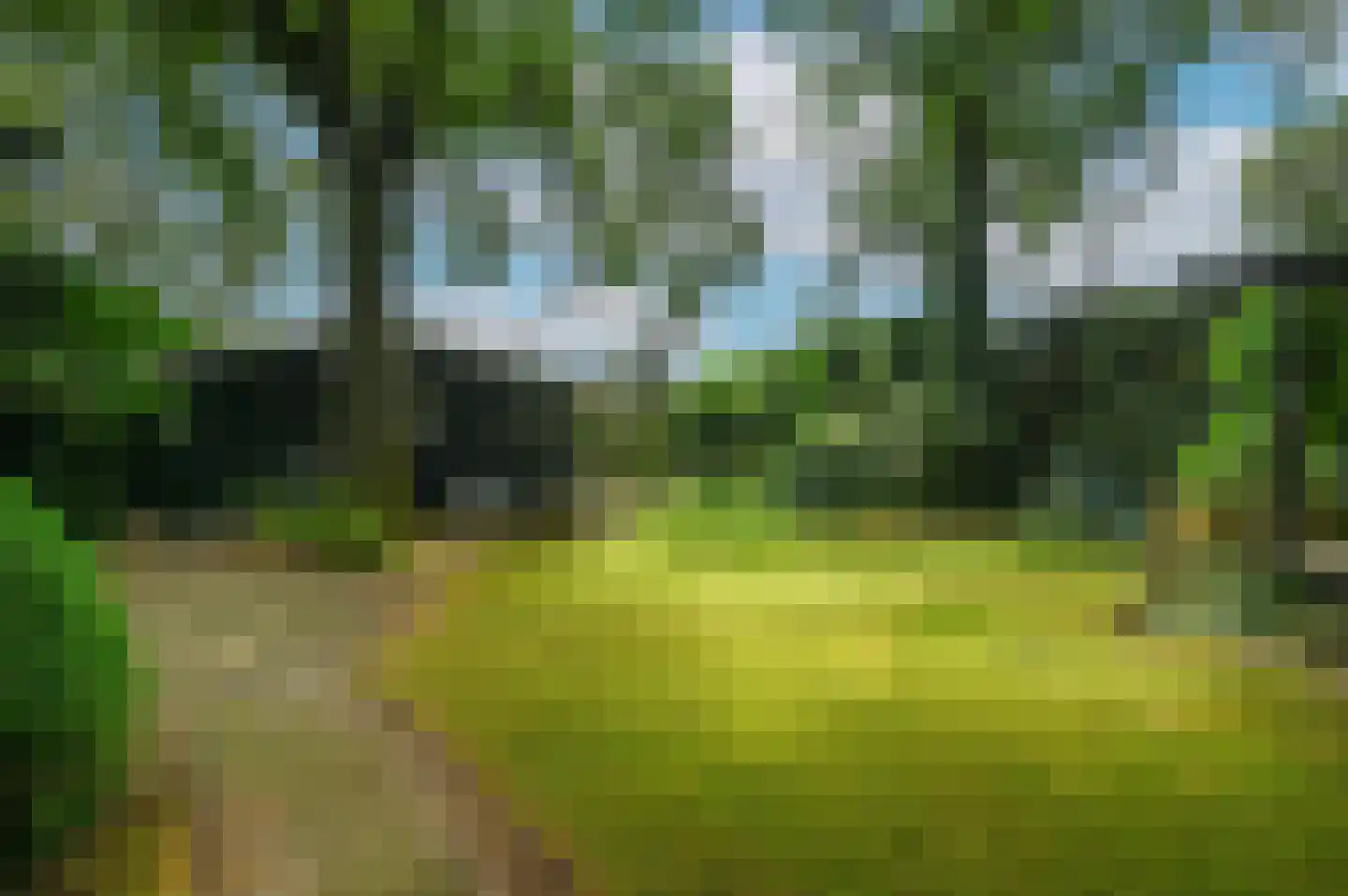 Zevenbergjesweg 1 30 Voorthuizen thumbnail 32