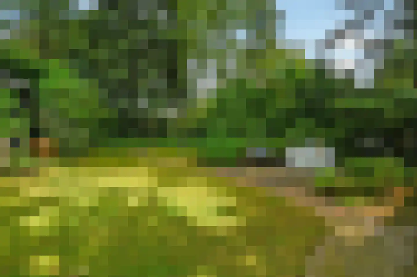 Zevenbergjesweg 1 30 Voorthuizen thumbnail 35