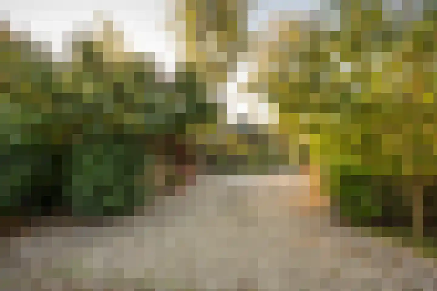 Zevenbergjesweg 1 38 Voorthuizen