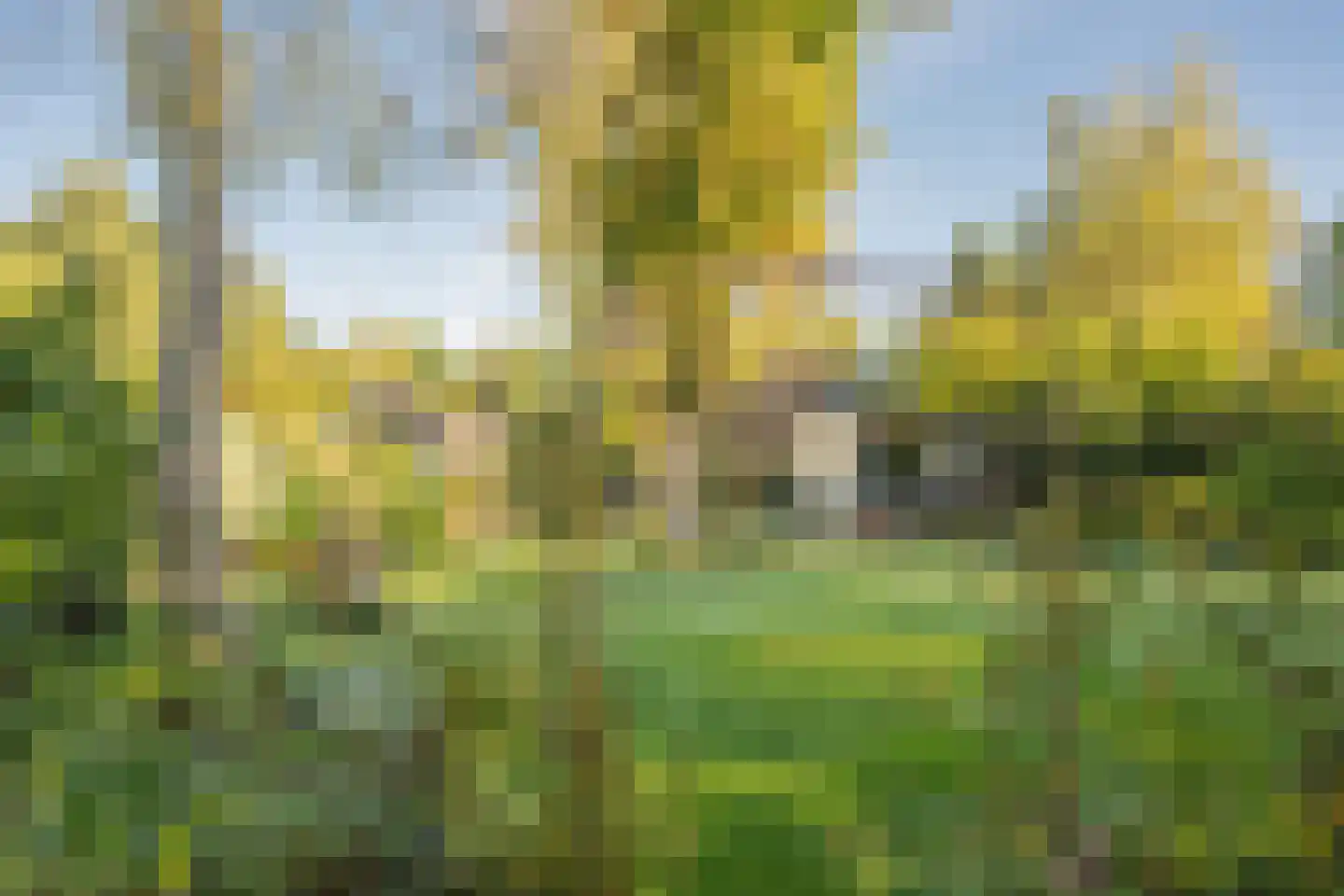 Zevenbergjesweg 1 38 Voorthuizen thumbnail 27