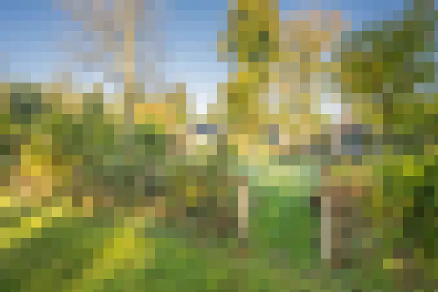 Zevenbergjesweg 1 38 Voorthuizen thumbnail 28