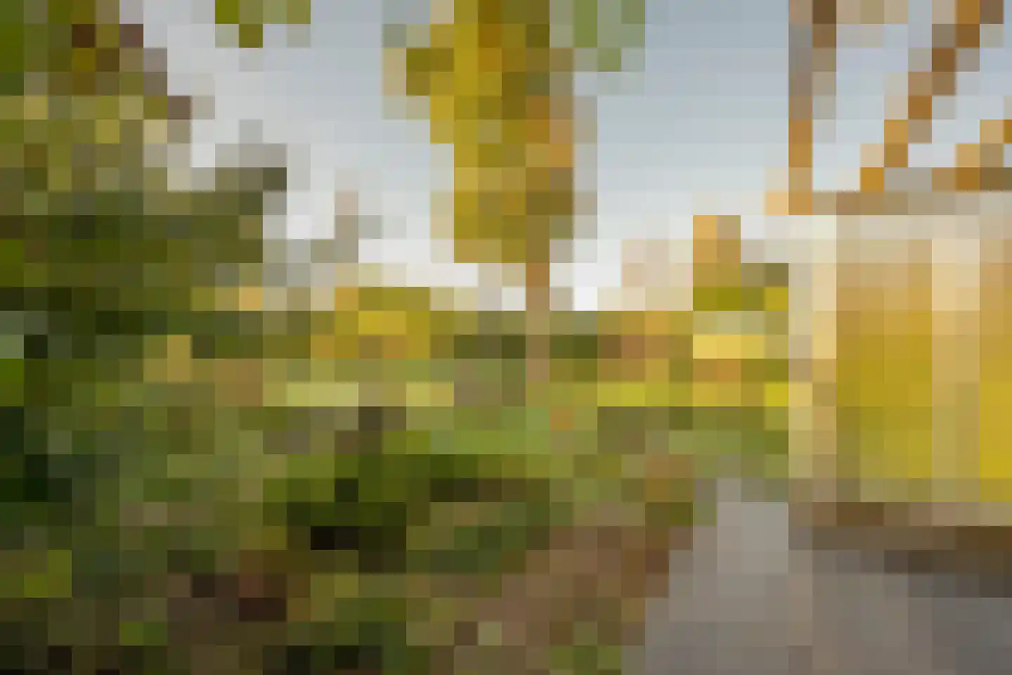 Zevenbergjesweg 1 38 Voorthuizen thumbnail 7