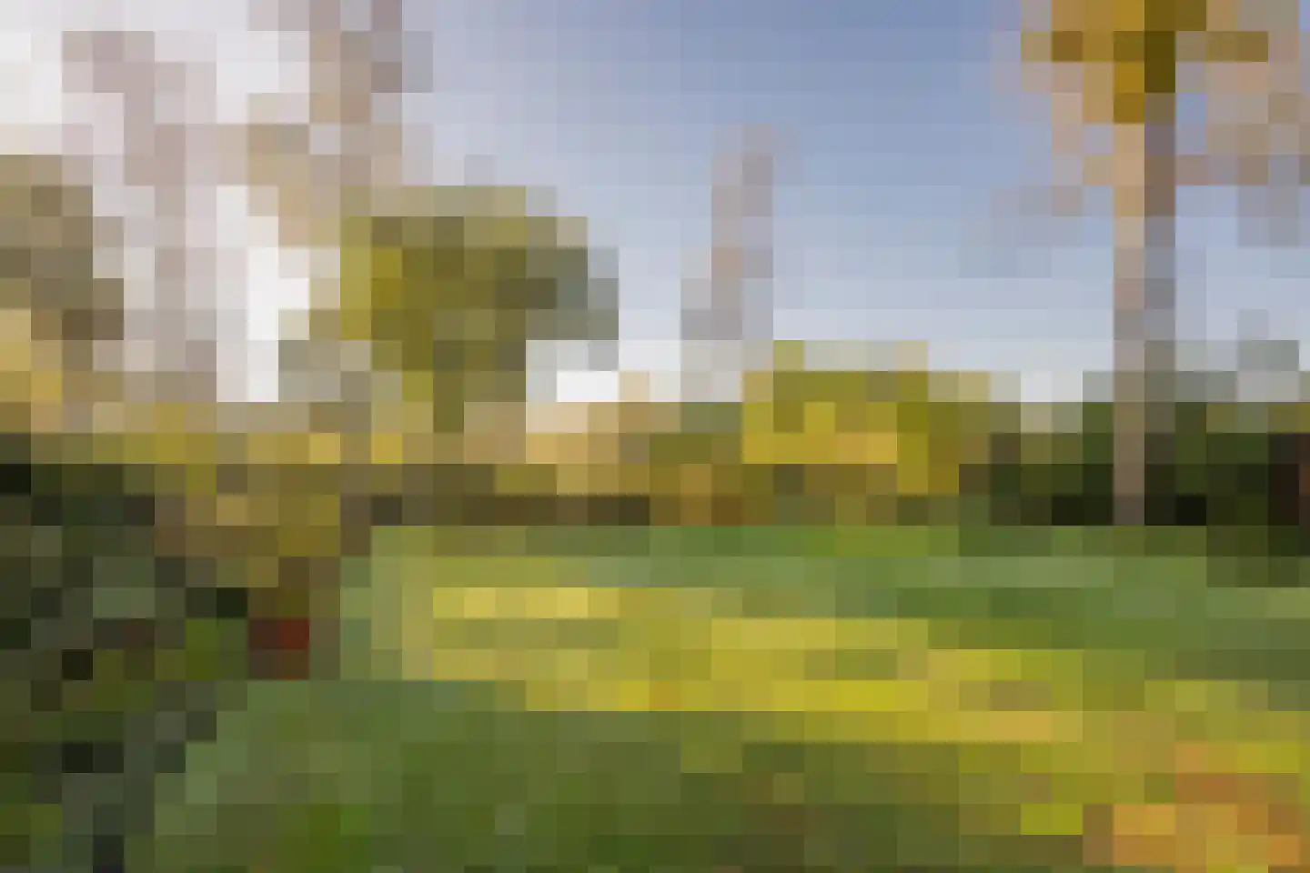 Zevenbergjesweg 1 38 Voorthuizen thumbnail 8