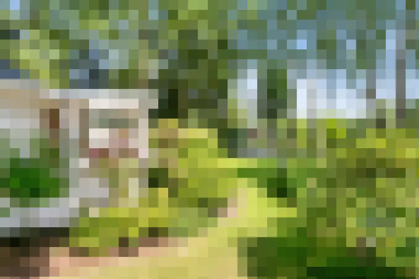 Zevenbergjesweg 1 49 Voorthuizen thumbnail 23
