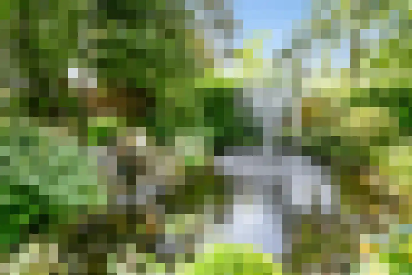 Zevenbergjesweg 1 49 Voorthuizen thumbnail 25