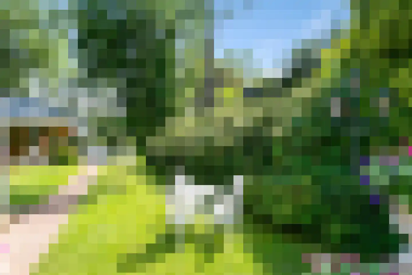 Zevenbergjesweg 1 49 Voorthuizen thumbnail 33
