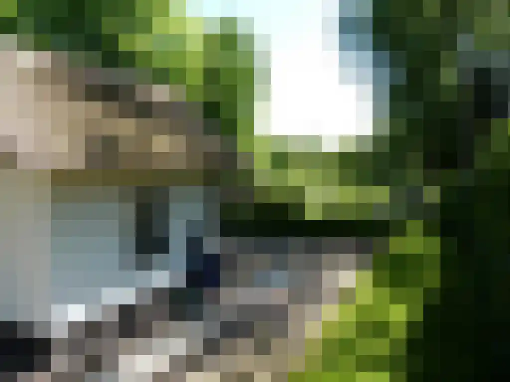 Zevenbergjesweg 1 52 Voorthuizen thumbnail 20