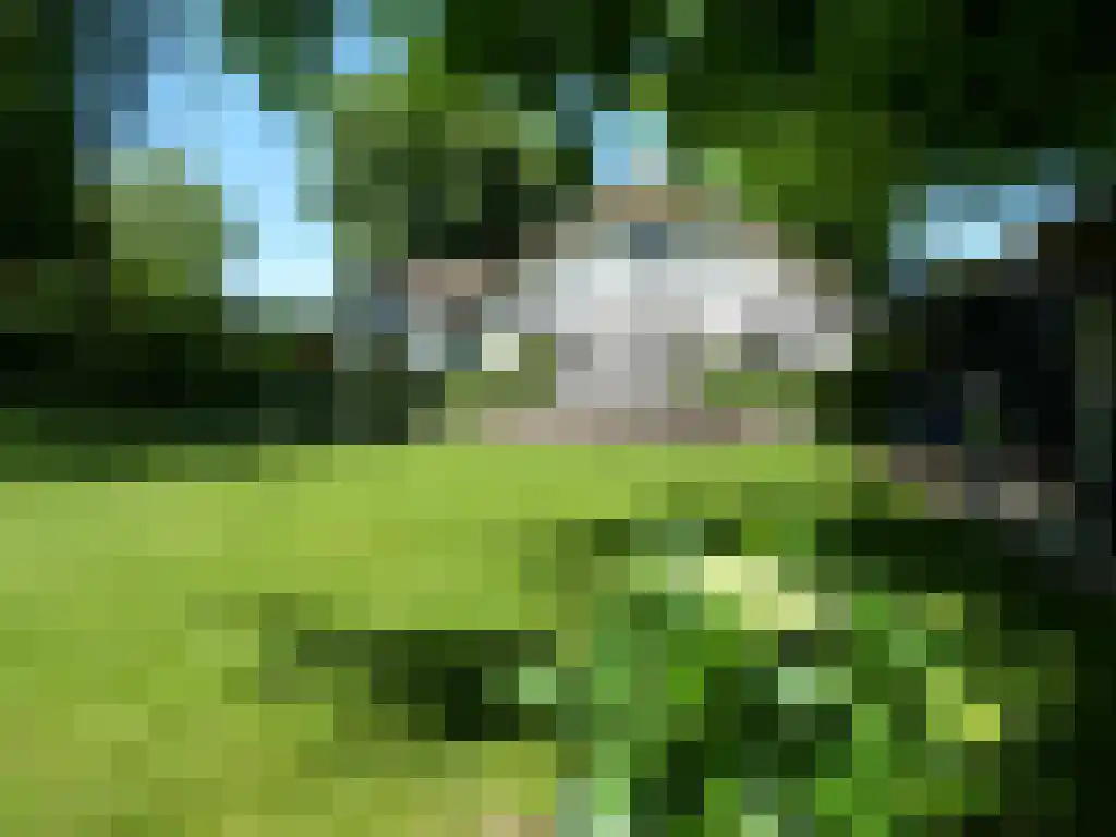 Zevenbergjesweg 1 52 Voorthuizen thumbnail 22