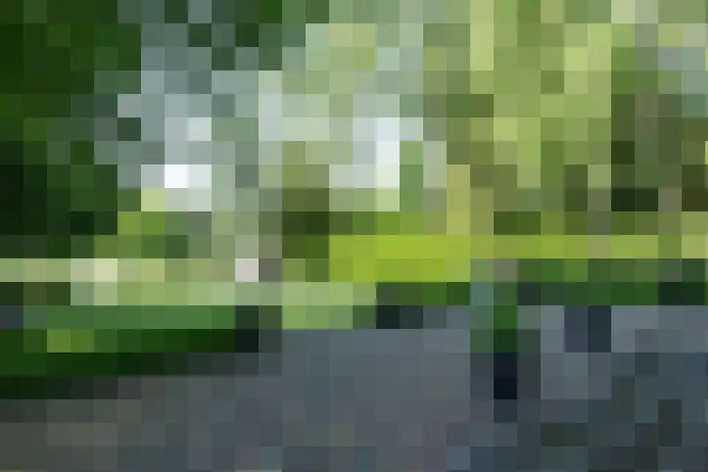 Zevenbergjesweg 1 52 Voorthuizen thumbnail 23
