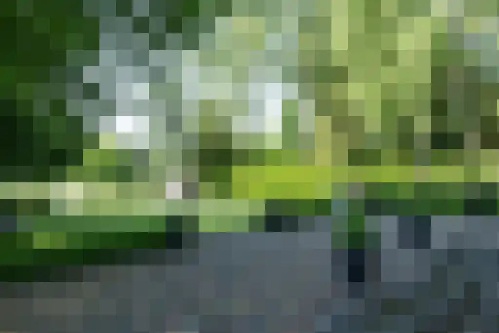 Zevenbergjesweg 1 52 Voorthuizen thumbnail 23