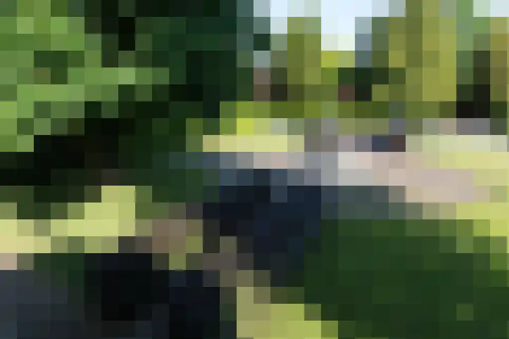 Zevenbergjesweg 1 52 Voorthuizen thumbnail 25