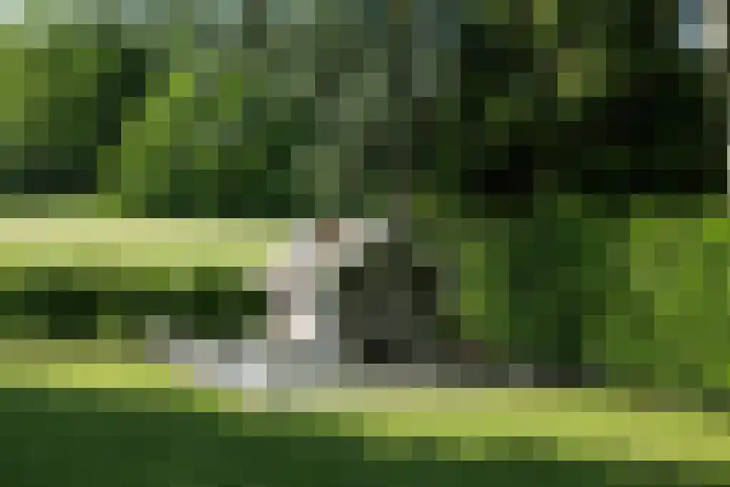 Zevenbergjesweg 1 52 Voorthuizen thumbnail 33