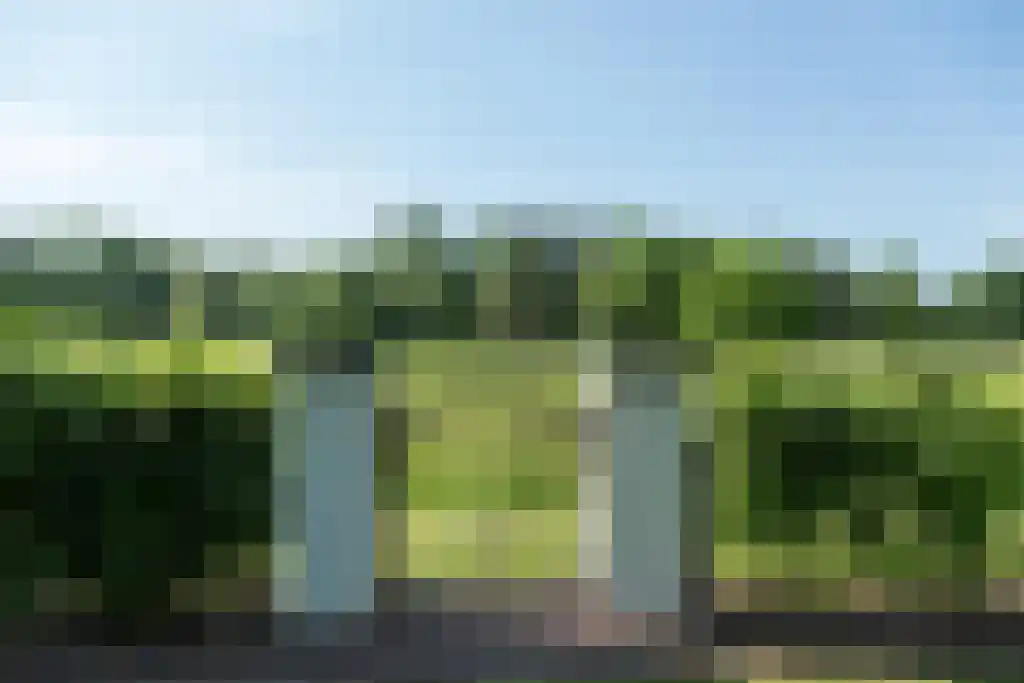 Zevenbergjesweg 1 52 Voorthuizen thumbnail 36