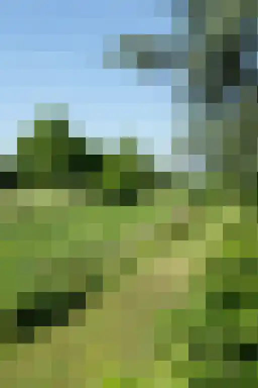 Zevenbergjesweg 1 52 Voorthuizen thumbnail 37