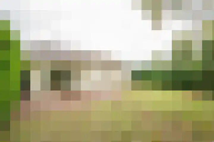 Zevenbergjesweg 13 14 Voorthuizen thumbnail 21