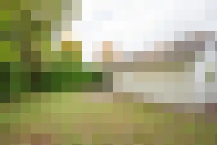 Zevenbergjesweg 13 14 Voorthuizen thumbnail 22