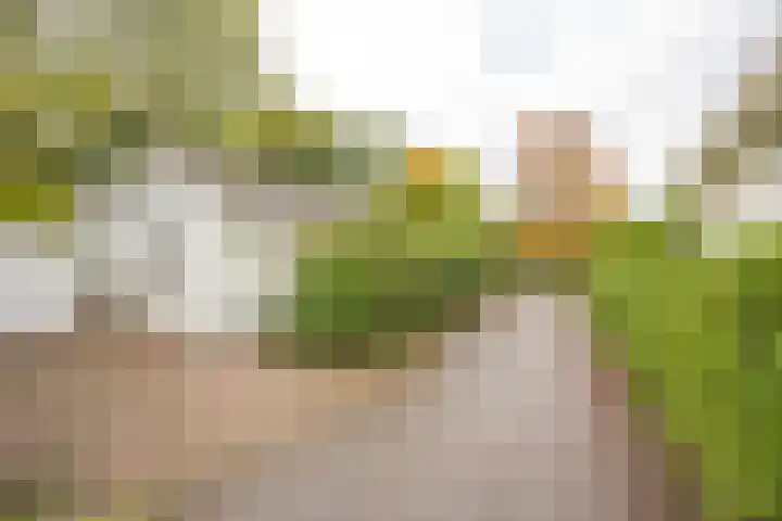 Zevenbergjesweg 13 14 Voorthuizen thumbnail 24