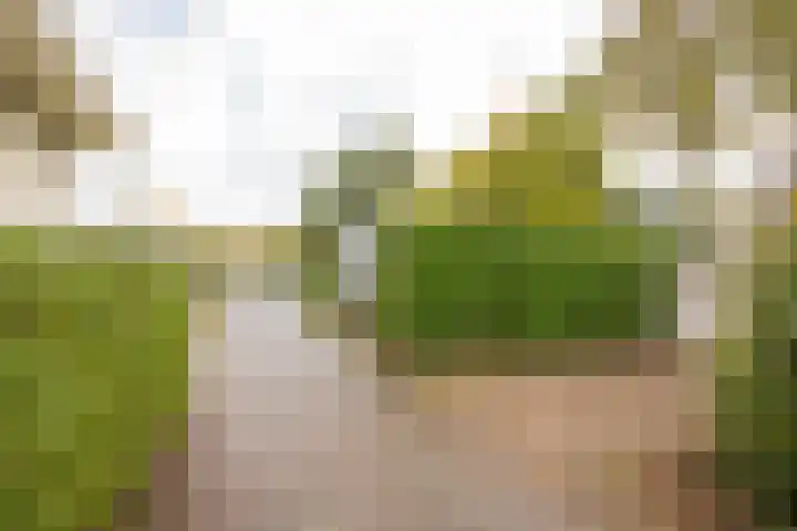 Zevenbergjesweg 13 14 Voorthuizen thumbnail 25