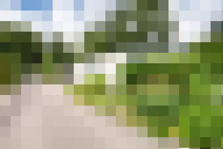 Zevenbergjesweg 13 20 Voorthuizen thumbnail 20