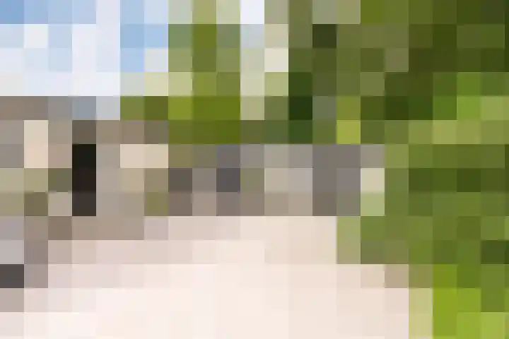 Zevenbergjesweg 13 20 Voorthuizen thumbnail 4