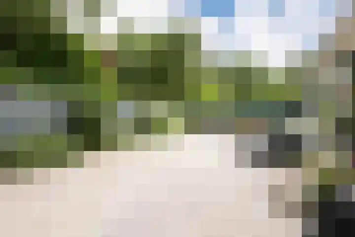 Zevenbergjesweg 13 20 Voorthuizen thumbnail 5
