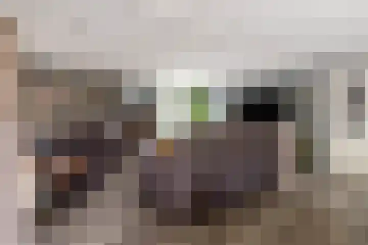 Zevenbergjesweg 13 20 Voorthuizen thumbnail 7