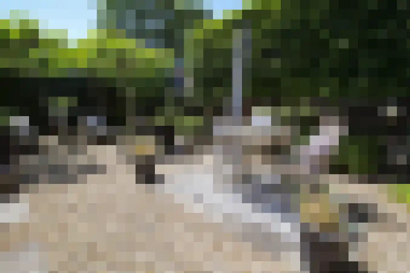Zevenbergjesweg 13 46 Voorthuizen thumbnail 33