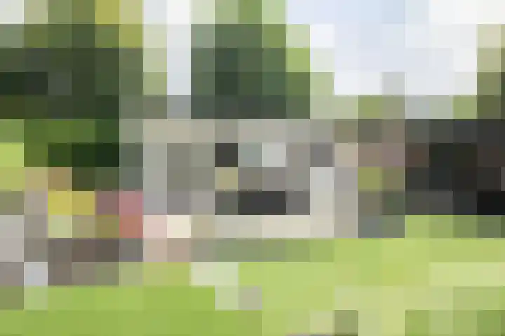 Zevenbergjesweg 13 50 Voorthuizen thumbnail 32